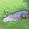 Mog Kudd’ddo – Friz Love
